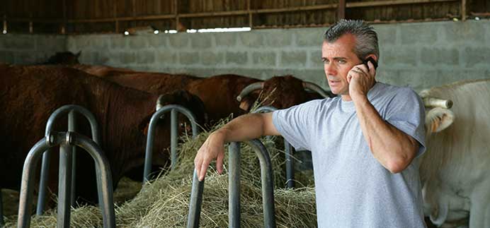 farmer in cattle shed