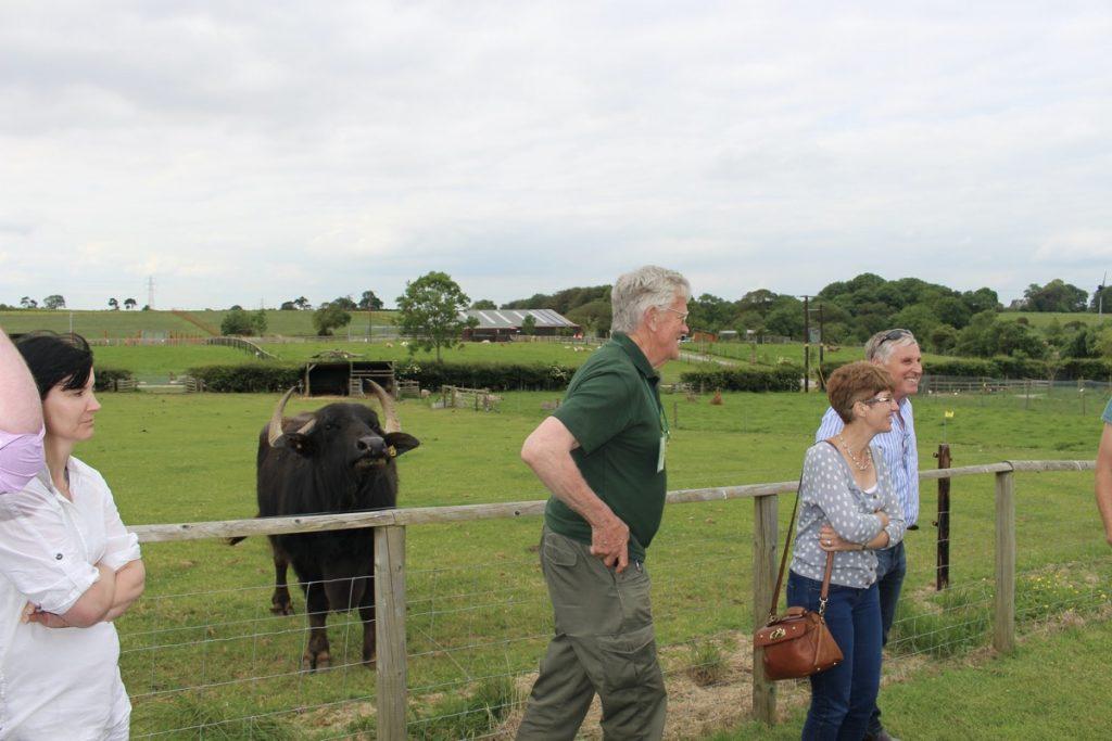 nfan south west tour Holly birthday June 2014 058