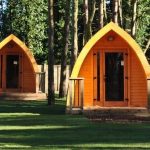 Pinewood Camping Pods At Port Lympne Reserve crop